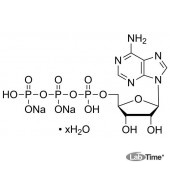 Аденозин 5-трифосфат динатриевая соль гидрат, 99%, 10 г (Sigma)