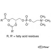 Фосфатидилхолин из яичного желтка, тип XVI-E, 99%, 100 мг (Sigma)