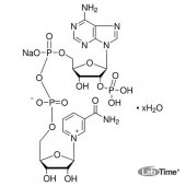 Никотинамид аденин динуклеотид фосфат натриевая соль, 250 мг (Alfa)