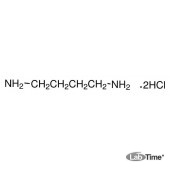 Путресцин дигидрохлорид (1,4-диаминобутана дигидрохлорид), мин. 98%, 25 г (Alfa)