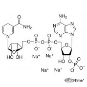 Никотинамид аденин динуклеотид фосфат тетранатриевая соль, мин. 96%, 100 мг