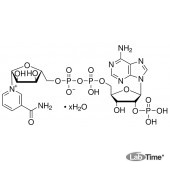 Никотинамид аденин динуклеотид фосфат (НАДФ динатриевая соль тригидрат), окисл.форм 500 мг (Amresco)
