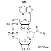 Никотинамидадениндинуклеотид-β (NAD, окисленной форме), 10 г (Amresco)