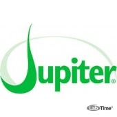 Предколонка Jupiter 10 мкм, C18, 300A, 50 x 30.0 мм