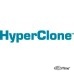 Колонка HyperClone 5 мкм, BDS C8, 130A, 50 x 2.0 мм