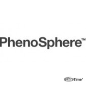 Колонка PhenoSphere 5 мкм, C6, 80A, 250 x 4.6 мм